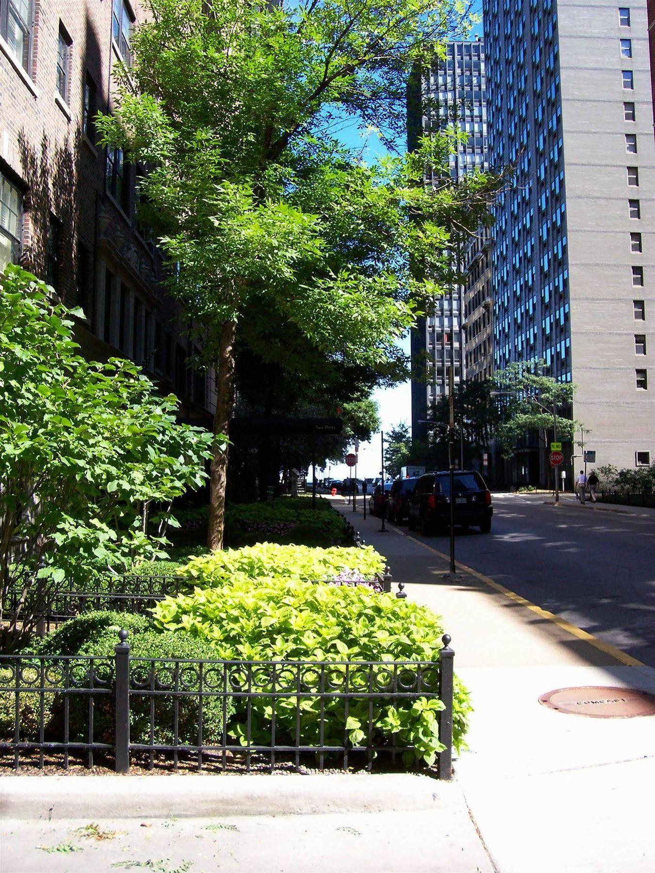 Dewitt Hotel And Suites Чикаго Екстериор снимка
